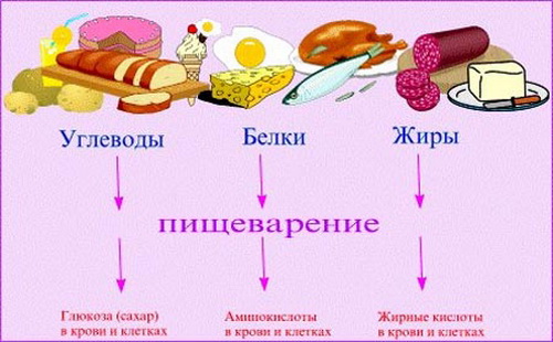 растительные препараты при повышенном холестерине растительные препараты при повышенном холестерине